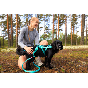 Non-stop dogwear postroj Freemotion 5.0 (oranžový, ružový, modrý, teal, aqua) (AQUA)