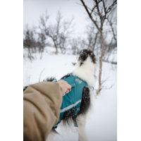 Non-stop dogwear postroj Ramble long teal