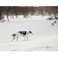 Non-stop dogwear postroj Ramble long teal