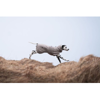 Non-stop dogwear Župan Drying coat