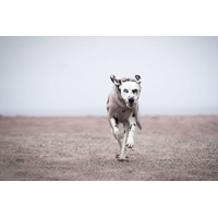 Non-stop dogwear Župan Drying coat