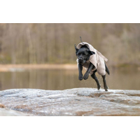 Non-stop dogwear Župan Drying coat