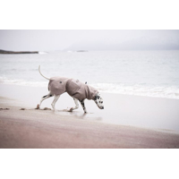 Non-stop dogwear Župan Drying coat