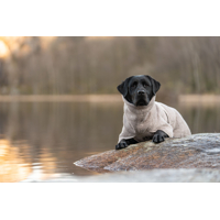 Non-stop dogwear Župan Drying coat