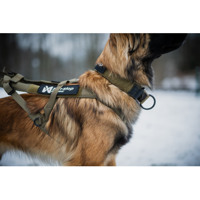 Non-stop dogwear obojok Solid WD