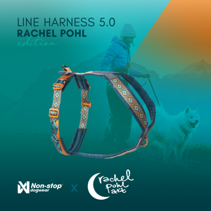 Postroj Line 5.0 Rachel Pohl (Ružový, Teal) (Teal)