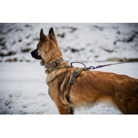 Non-stop dogwear Postroj Line Grip WD