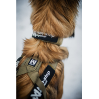 Non-stop dogwear obojok Solid WD