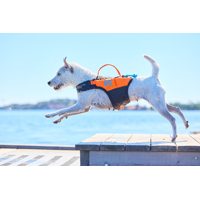 Non-stop dogwear Plávacia vesta Protector orange