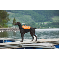 Non-stop dogwear Plávacia vesta Protector orange