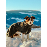 Non-stop dogwear Wool Dog Jacket