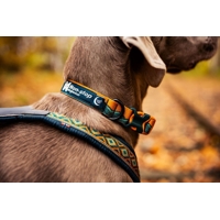 Obojok Trail quest Rachel Pohl edition Non-stop dogwear (Ružový, Teal)