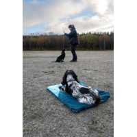 Non-stop dogwear Cestovný pelech Trekking dog bed